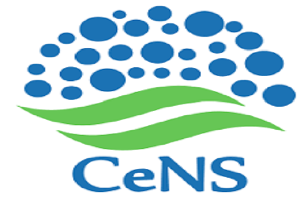 Centre for Nano and Soft Matter Sciences