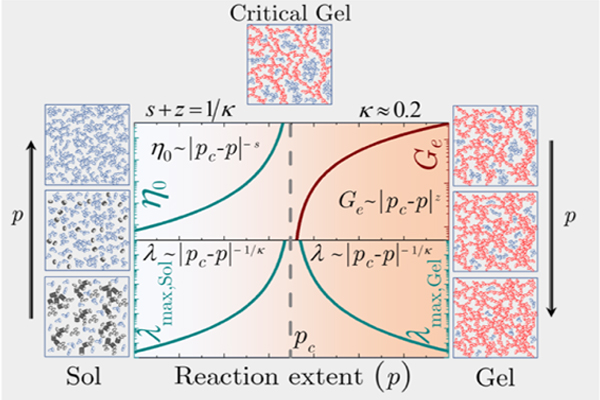 Experimental proof of evolution of physical parameters can unravel information about gelation process of agar gel & bread dough
