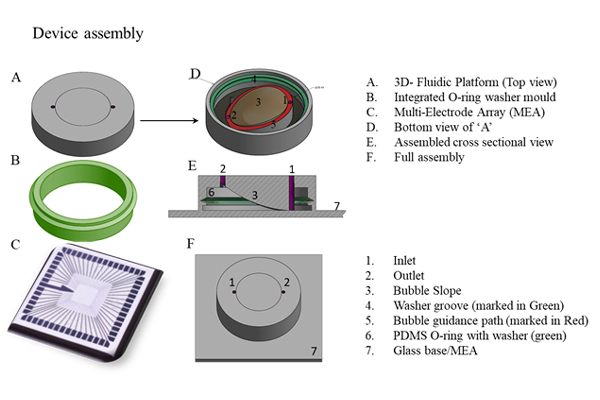 Long Term Monitoring of Cells & Tissues, JNCASR Scientists Develop a Device