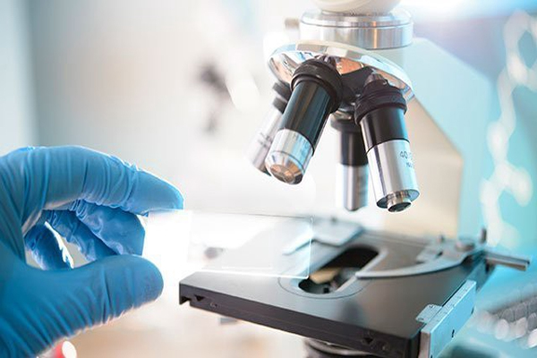 Advances in Microscopy has helped study Complex Questions of Locomotion Govt of India's Principal Scientific Adviser