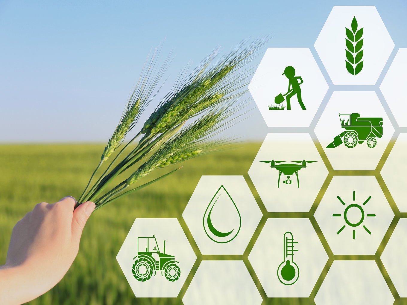 Agritech Startup