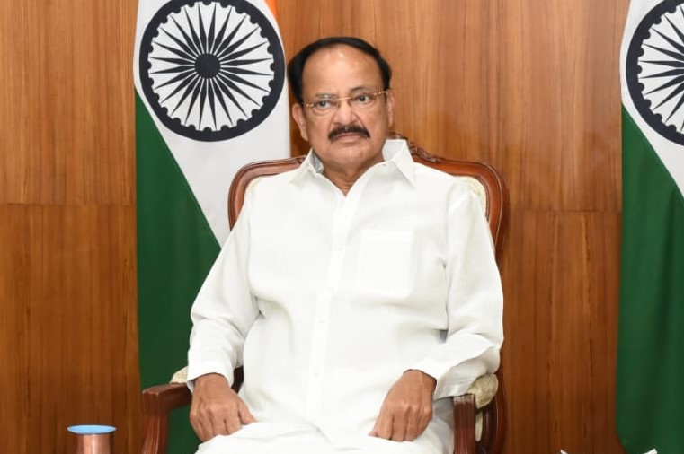 Vice President