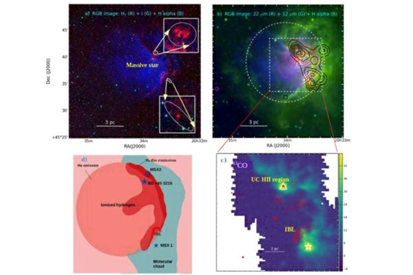 DST Autonomous Institute