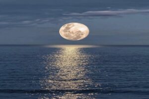 Moon