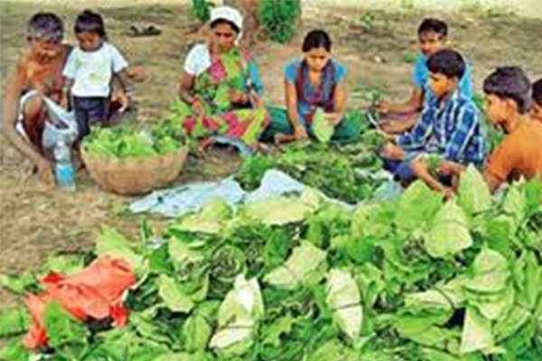 Chhattisgarh govt reaches out to minor forest industry