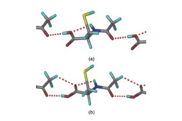 Improving Wheat Productivity, DST INSPIRE Faculty Fellow Shows the Way