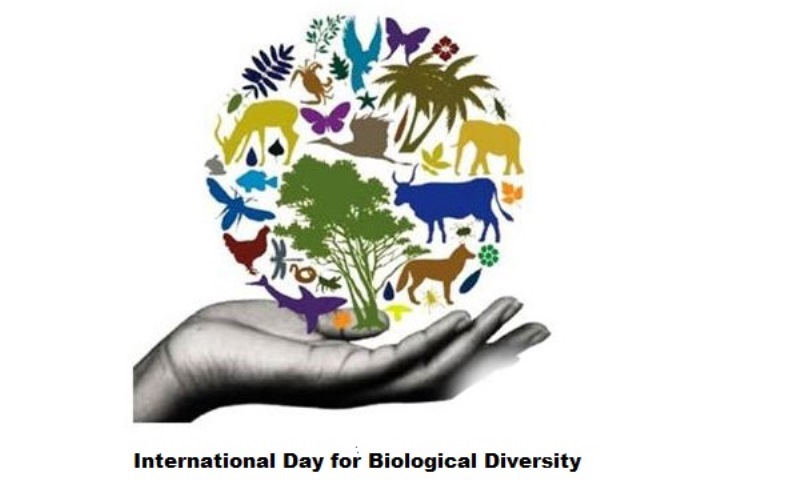 Biodiversity-Conservation