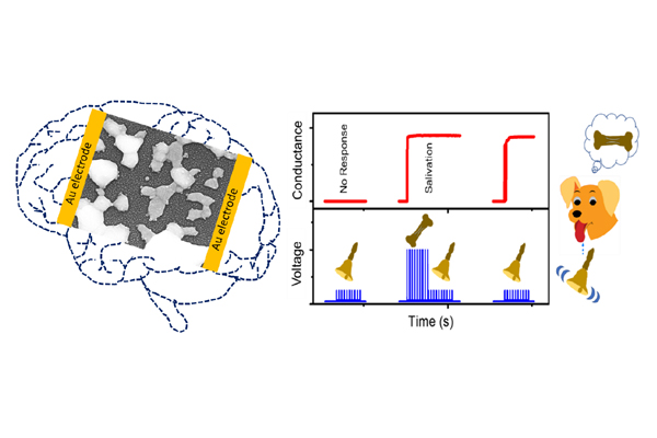Scientists Develop Efficient Artificial Synaptic Network That Mimics Human Brain