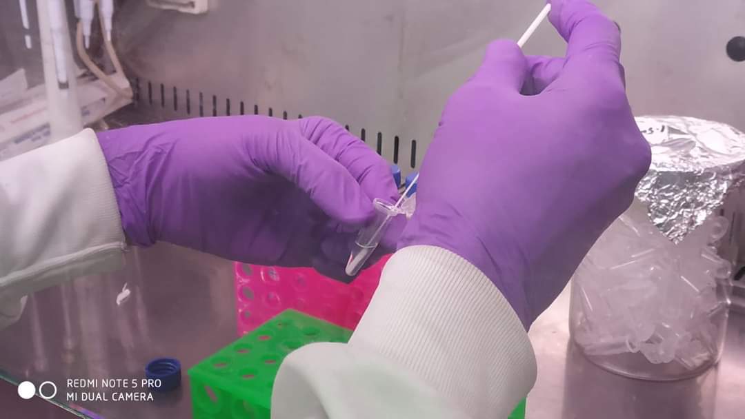 WhatsApp Image 2021-05-03 at 22.18.08