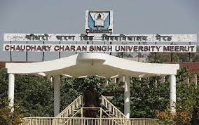 Chaudhary Charan Singh University
