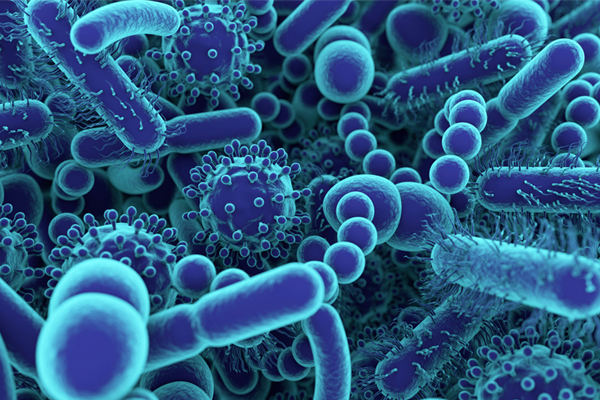 Avoiding Bacterial Infection During the Pandemic in Rainy Season