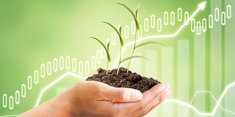 Agritech startup