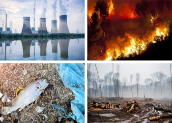 73.4% of Indians are Optimistic on Avoiding Climate Crisis Epson Global Survey
