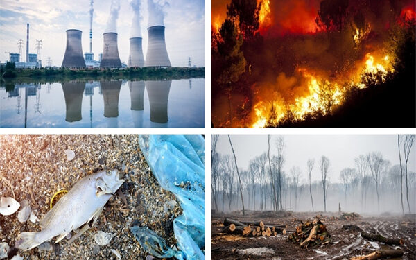 73.4% of Indians are Optimistic on Avoiding Climate Crisis Epson Global Survey