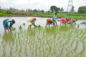 telangana-farmers