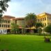 IIT Madras launches diplomas in programming and data science for working professionals
