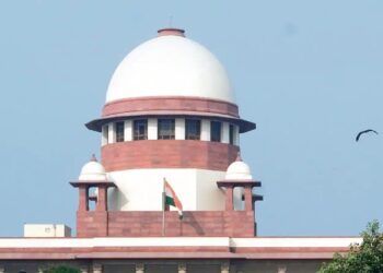 Online Hindi Search Engine Developed for Supreme Court and High Court Judgements