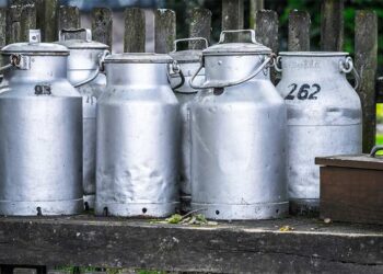 Dairy.com Enters India with Acquisition of Mr. Milkman