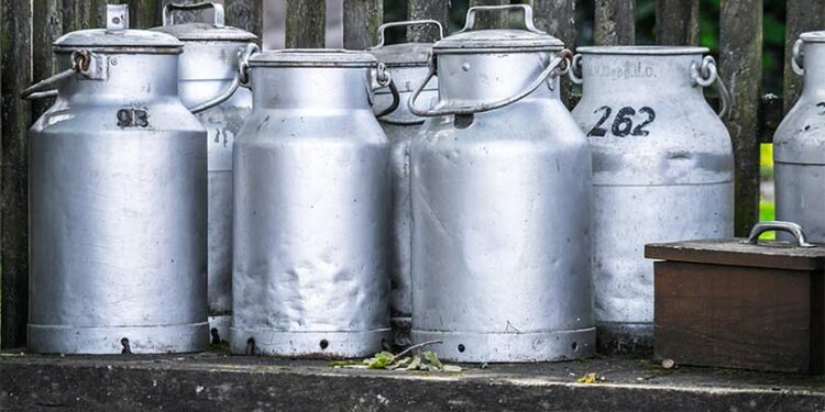 Dairy.com Enters India with Acquisition of Mr. Milkman