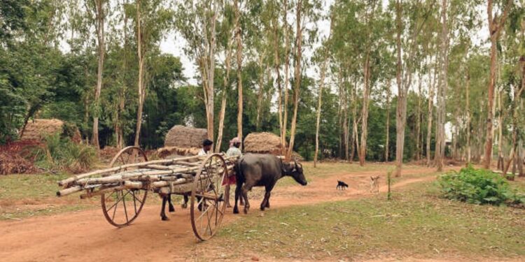 Israel to help India convert 150 villages into ‘Villages of Excellence’