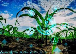 Ambee’s ‘SmartFarming Data’ to increase agriculture productivity using environmental intelligence