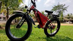 Assam youth innovates theft-proof E-bicycle powered by Lithium-ion batteries