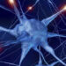 Studies suggest Spike in cases of Neurological Disorders in India