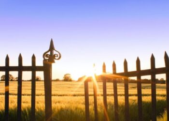 Urban Company planning to invest in MyGate