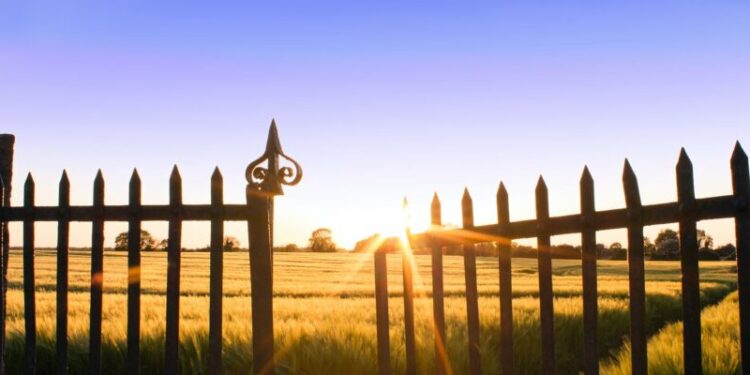 Urban Company planning to invest in MyGate