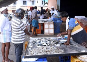 CIFT start-up develops e-trading platform for fisheries supply chain