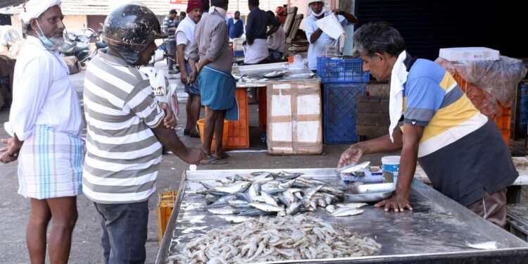 CIFT start-up develops e-trading platform for fisheries supply chain