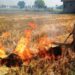 CAQM actively monitors paddy residue burning events for NCR and Adjoining Areas