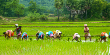 Jharkhand to link 25 lakh farmers with Kisan Credit Card by March 2023