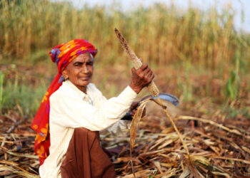 MoU Signed between Department of Agriculture & Farmers Welfare and NAFED to Boost International Year of Millets (IYOM)-2023