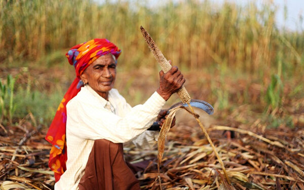 MoU Signed between Department of Agriculture & Farmers Welfare and NAFED to Boost International Year of Millets (IYOM)-2023