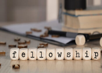 Government setting up single national fellowship portal