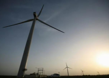 Renewable Energy Sector