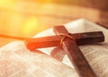 Tata Sons chairman Chandrasekaran to head Maharashtra's new economic advisory body