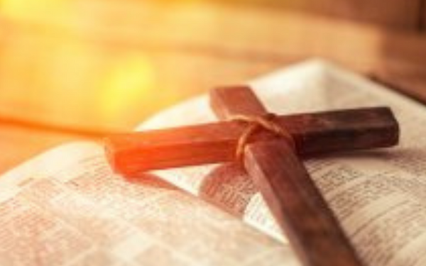 Tata Sons chairman Chandrasekaran to head Maharashtra's new economic advisory body