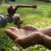 Assam on track to provide clean tap water supply to every home by 2024