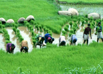 Centre to Revamp Agricultural Education
