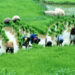 Centre to Revamp Agricultural Education