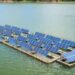 Novus Green establishes India’s largest floating solar plant in Jaipur