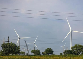 Torrent Power to buy 1.1 Gw green energy capacity from ReNew Energy