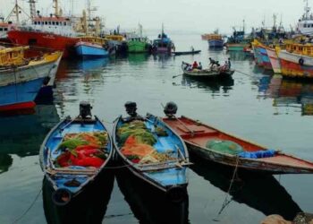 Andhra Pradesh to get four new fishing harbours in coming months