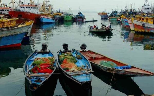 Andhra Pradesh to get four new fishing harbours in coming months