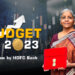 Fiscal Consolidation, But Capex Push Remains Alive HDFC Bank Reviews Union Budget 2023