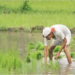 Ministry of Agriculture