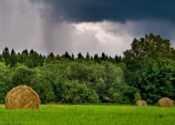 Agrometeorological Advisory Services (AAS) rendered under ‘Gramin Krishi Mausam Sewa’ (GKMS) scheme for farmer benefits