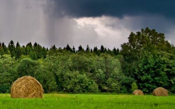 Agrometeorological Advisory Services (AAS) rendered under ‘Gramin Krishi Mausam Sewa’ (GKMS) scheme for farmer benefits